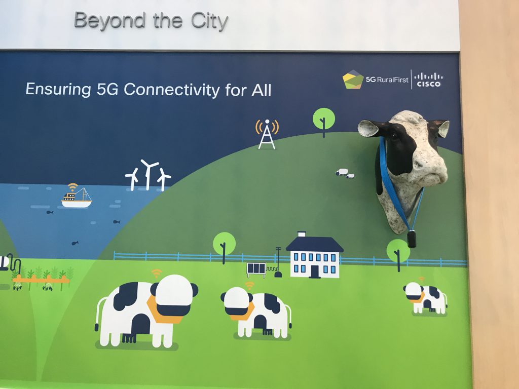 connected cows, agritech, 5G, MWC